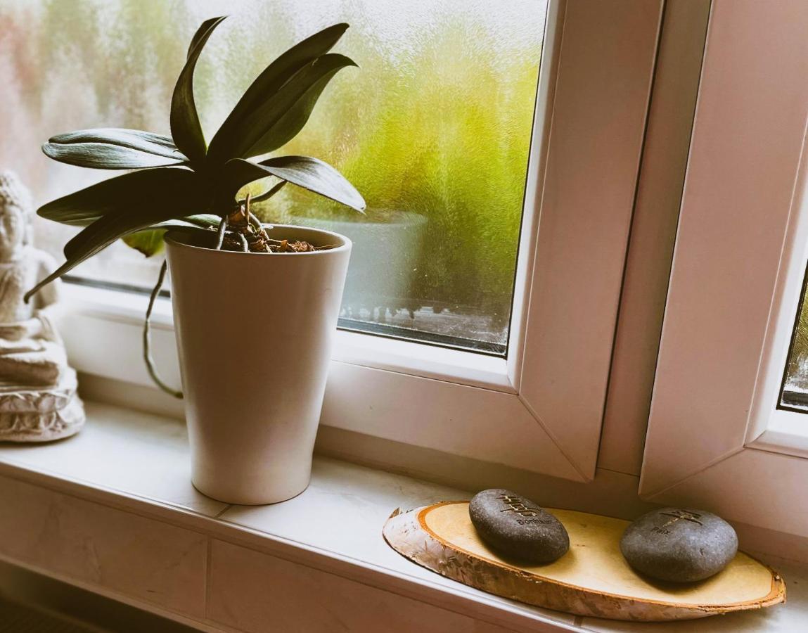 Appartement Modernes Im Gruenen - Stilvoll Und Komfortabel Keulen